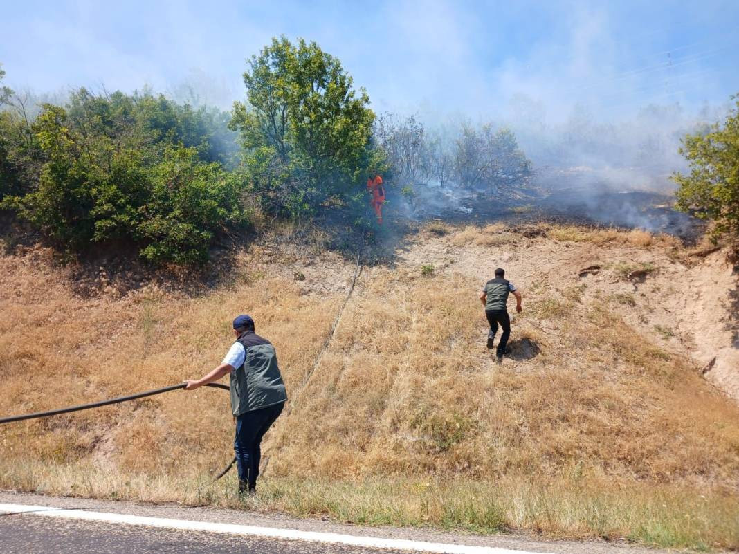 Bingöl'ün Genç ve Kiğı ilçelerinde orman yangını - Resim: 2